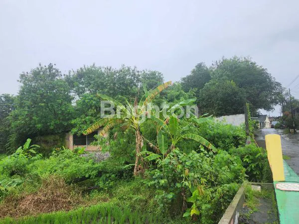 image TANAH PEKARANGAN DENGAN RUMAHNYA DI BANYUDONO (6)