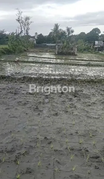 image DIJUAL 4000M² TANAH SINGOSARI MALANG (3)