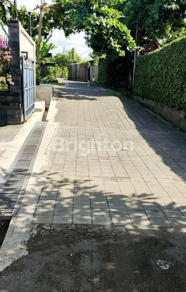 image FOR SALE–LAND WITH OCEAN & MOUNTAIN GUNUNG AGUNG VIEW IN KETEWEL GIANYAR (6)