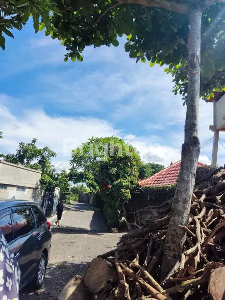 image FOR SALE–LAND WITH OCEAN & MOUNTAIN GUNUNG AGUNG VIEW IN KETEWEL GIANYAR (7)