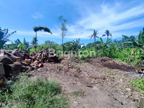 image FOR SALE–LAND WITH OCEAN & MOUNTAIN GUNUNG AGUNG VIEW IN KETEWEL GIANYAR (1)