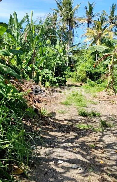 image FOR SALE–LAND WITH OCEAN & MOUNTAIN GUNUNG AGUNG VIEW IN KETEWEL GIANYAR (2)