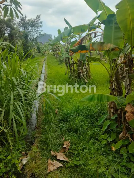 image  TANAH KERING PINGGIR JALAN RAYA  (2)