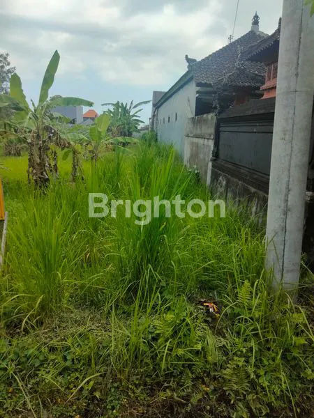 image  TANAH KERING PINGGIR JALAN RAYA  (1)