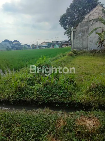 image  TANAH KERING PINGGIR JALAN RAYA  (6)