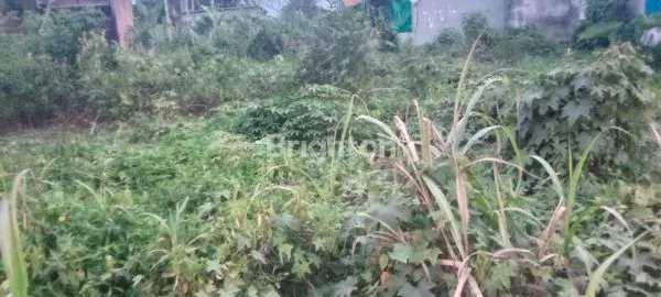 image SANGAT COCOK UNTUK BANGUN KOS KOS AN PEGAWAI RS ADAM MALIK ATAU UNTUK USAHA APA SAJA BAHKAN UNTUK INVESTASI JANGKA PANJANG TANAH KOSONG DI MEDAN TUNTUNGAN (3)