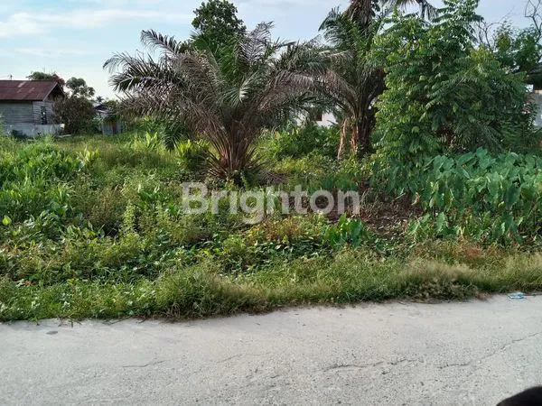 image JUAL TANAH (1)