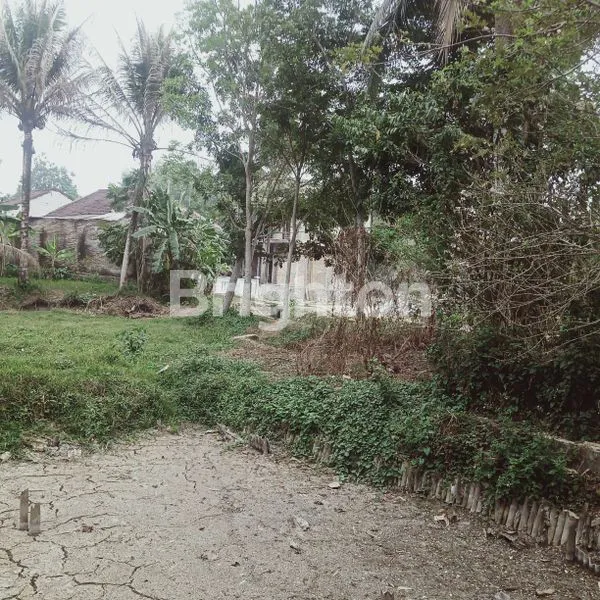 LAHAN STRATEGIS DI DESA KARANG HARJA, CISOKA TANGERANG