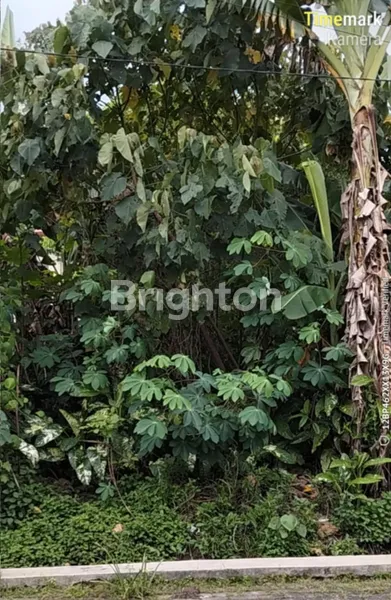 image TANAH DIJUAL DI TRIHANGGO GAMPING SLEMAN (1)