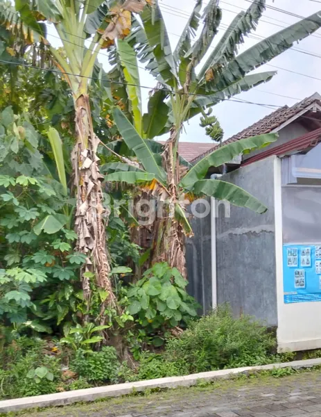 image TANAH DIJUAL DI TRIHANGGO GAMPING SLEMAN (2)