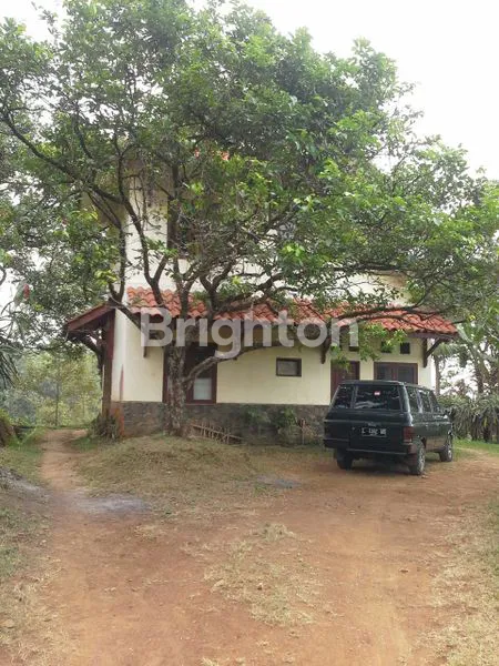 image TANAH PERKEBUNAN WONOSALAM JOMBANG (1)