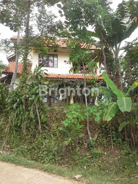 image TANAH PERKEBUNAN WONOSALAM JOMBANG (2)