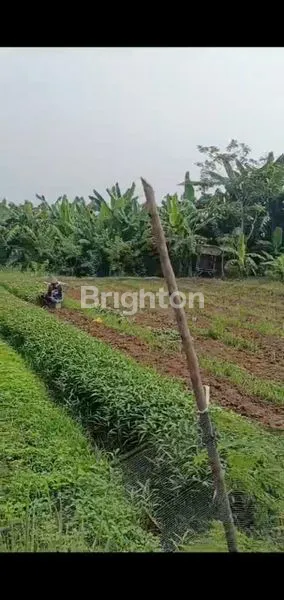 image DIJUAL LAHAN USAHA KARAWANG  (1)