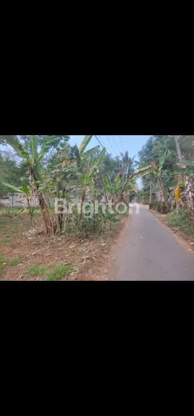 image ZONA MERAH | ARGOMULYO, SALATIGA (1)