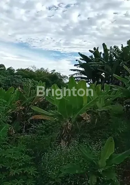 image TANAH DI PONDOK CABE DEKAT SOUTH CITY (6)