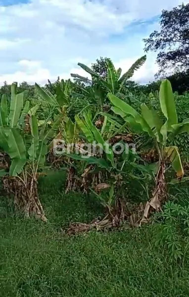 image TANAH DI PONDOK CABE DEKAT SOUTH CITY (4)