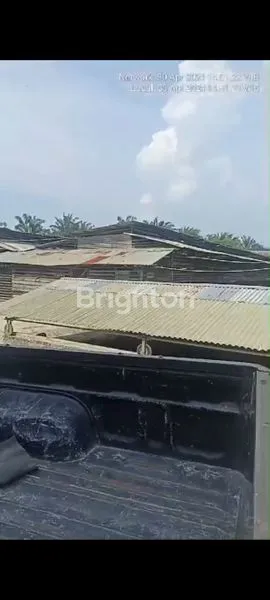 image FARM AYAM PETELUR (3)