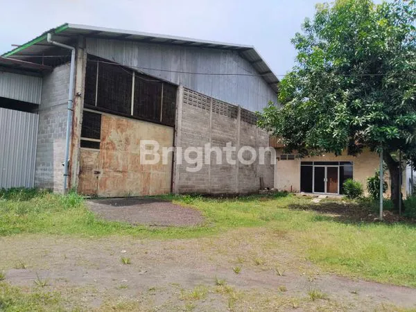 image GUDANG GUNUNG GANGSIR BEJI PASURUAN (1)