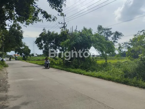 image TANAH LUAS MOJOKERTO COCOK UNTUK GUDANG DAN INDUSTRI (2)