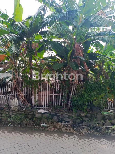 image " TANAH HOOK SAMPING  GREEN LAKE  LOKASI STRATEGIS, COCOK UNTUK USAHA APA SAJA, KP. PULO, DURI KOSAMBI, JAKARTA BARAT " (5)