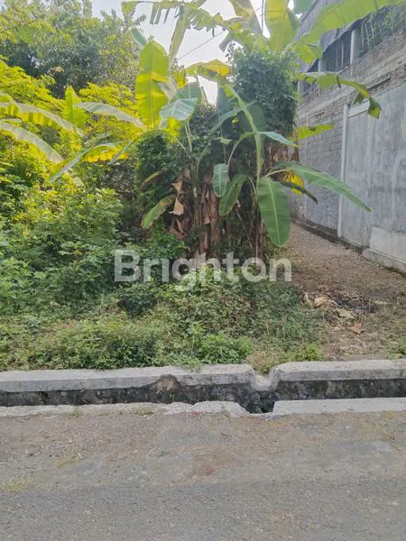 image TANAH DIJUAL KOTA WATES (3)