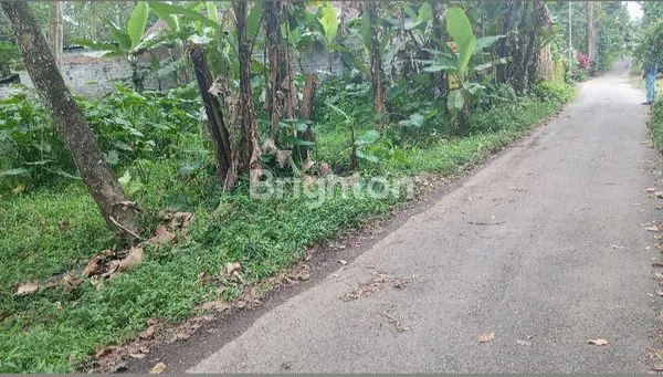 SEBIDANG TANAH PEKARANGAN DI ZONA MERAH SALATIGA