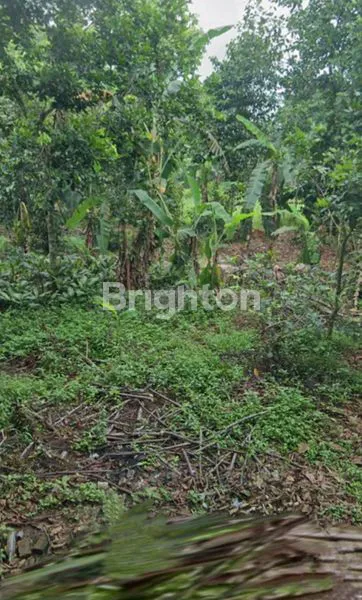 image TANAH MURAH DI TAMAN SARI BEKASI (5)