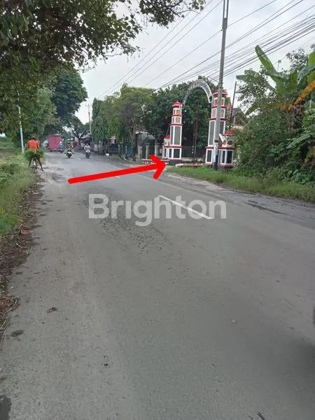 image TANAH LUAS DEKAT SOLOBARU (8)