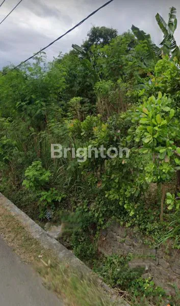image TANAH DI PINGGIR JALAN UTAMA (2)