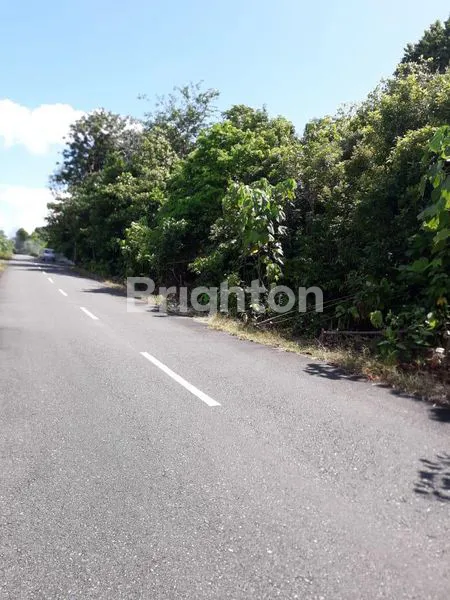 image TANAH DI MARATUA (4)