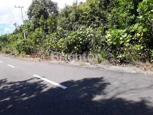 image TANAH DI MARATUA (5)