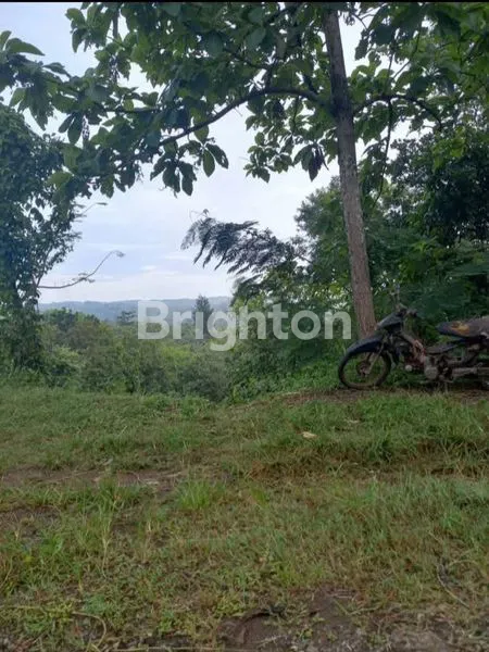 image DIJUAL TANAH TEGALAN DI KEDIRI\U2705 (2)