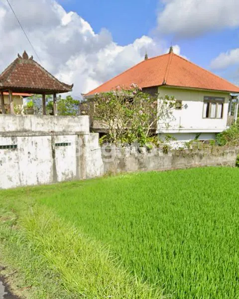 image RUMAH VILLA UBUD BALI AIRBNB (7)