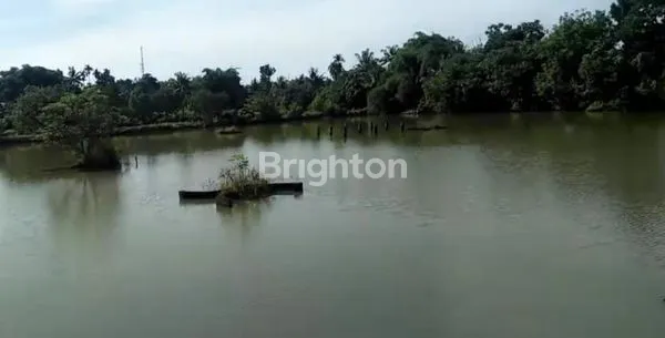 image TANAH 2,4 HA (2)