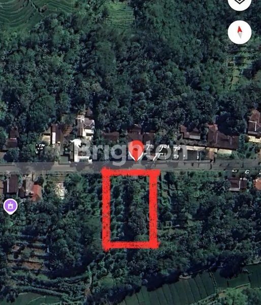 TANAH PEKARANGAN DI KARANGANYAR, COCOK UTK BERCOCOK TANAM DAN BERKEBUN