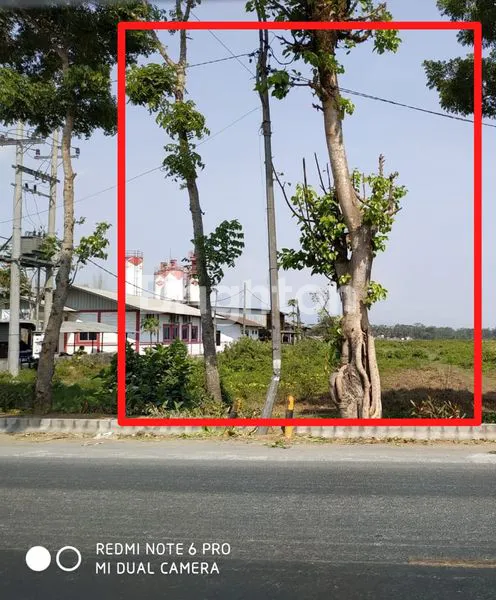 Gambar Property TANAH LUAS DI RAYA KEBON AGUNG