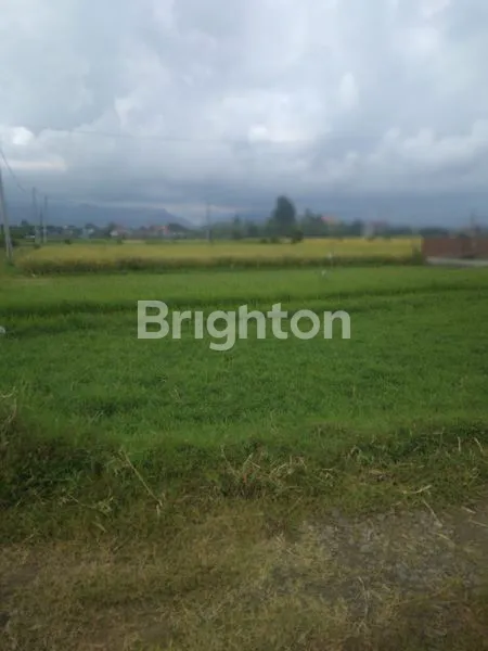 TANAH LUASAN KECIL AREA NEGARA KOTA