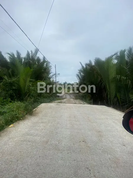 image DIJUAL TANAH GALANGAN MURAH PINGGIR SUNGAI MAHAKAM HANDIL MUARA JAWA KUKAR (3)