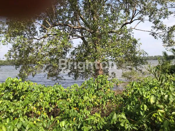 image DIJUAL TANAH GALANGAN MURAH PINGGIR SUNGAI MAHAKAM HANDIL MUARA JAWA KUKAR (2)