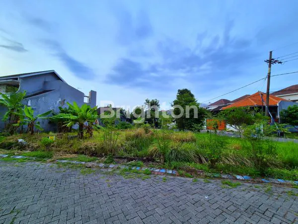 image DIJUAL TANAH (3)