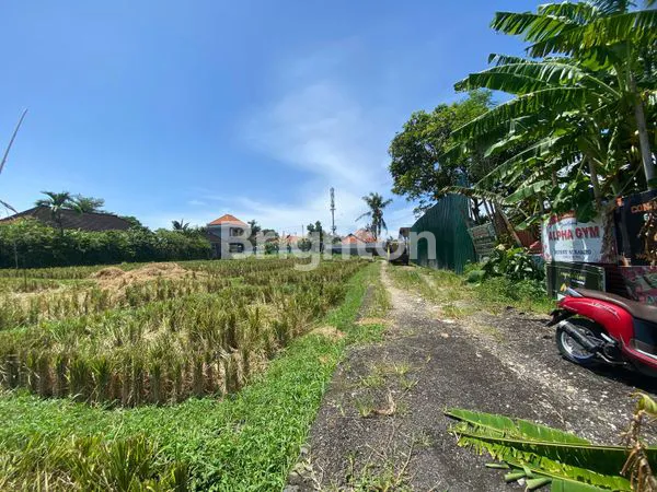 image INVESTASI TANAH BERAWA CANGGU GRATIS BIAYA BALIK NAMA, LEGAL, STRATEGIS, NILAI MELAMBUNG (1)