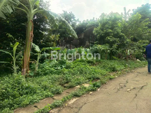 image TANAH STRATEGIS DEKAT PASAR CILUAR (6)