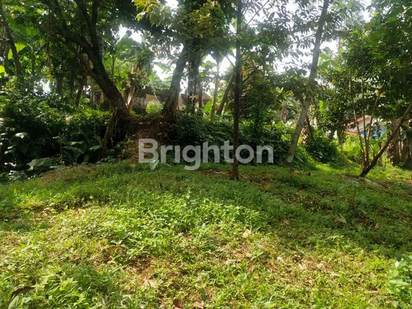 image TANAH STRATEGIS DEKAT PASAR CILUAR (2)