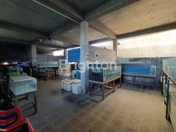 image MILIKI SEGERA  RUMAH CANTIK  DI TENGAH KOTA LUAS 1720M  HARGA DIBAWAH NJOP BONUS RUKO UNTUK USAHA  ,TANAH NGANTONG DEPAN JALAN RAYA DAERAH GAJAH  SEMARANG (7)