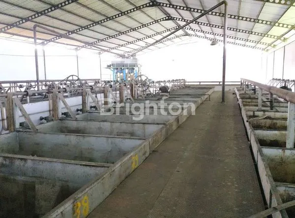 image EX. PABRIK GULA LOKASI DIKECAMATAN PESANTREN KEDIRI (8)