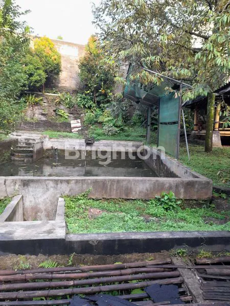 image RUMAH USAHA KOLAM IKAN ATAU EMPANG TEMPAT STRATEGIS TENGAH KOTA (4)