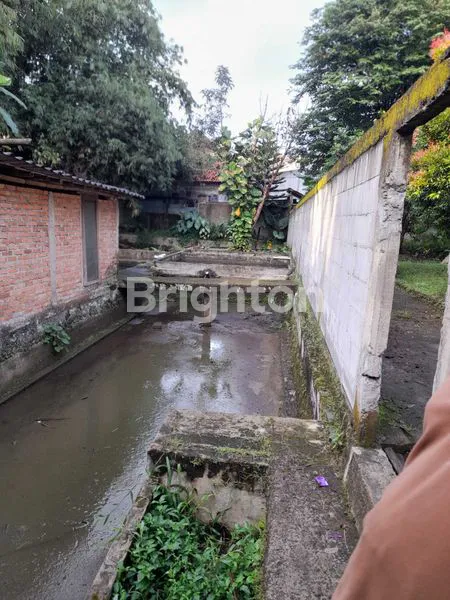 image RUMAH USAHA KOLAM IKAN ATAU EMPANG TEMPAT STRATEGIS TENGAH KOTA (5)
