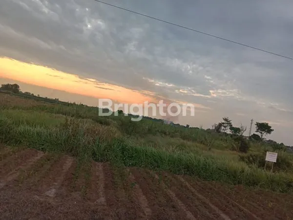 LAHAN SUMOBITO JOMBANG