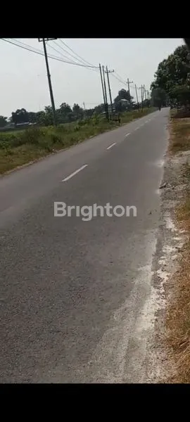 image LAHAN SUMOBITO JOMBANG  (3)