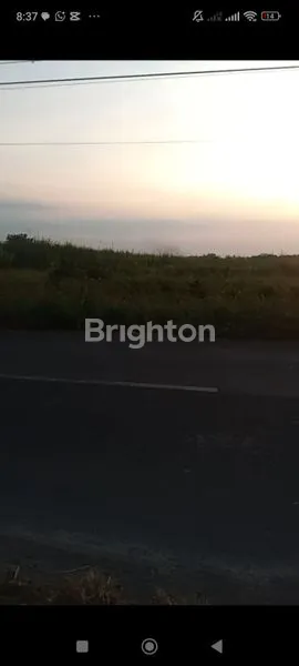 image LAHAN SUMOBITO JOMBANG  (6)